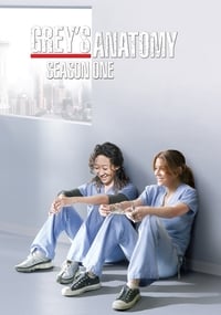 Greys Anatomy Season 1 poster