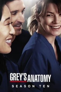 Greys Anatomy Season 10 poster