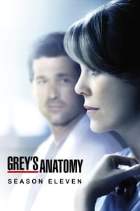 Greys Anatomy Season 11 poster