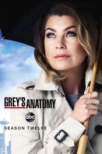 Greys Anatomy Season 12 poster
