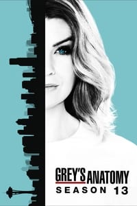Greys Anatomy Season 13 poster