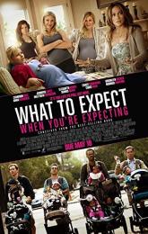 What to Expect When You're Expecting poster