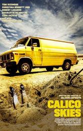 Calico Skies poster