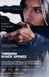 Through Black Spruce poster