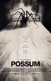 Possum poster