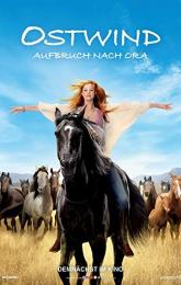 Windstorm and the Wild Horses poster