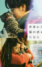 If Cats Disappeared from the World poster