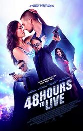 48 Hours to Live poster