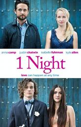 1 Night poster