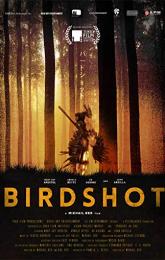 Birdshot poster