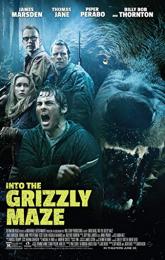 Into the Grizzly Maze poster
