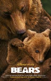 Bears poster