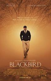 Blackbird poster