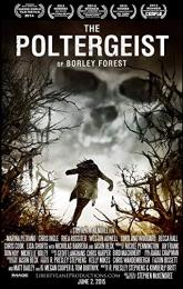 The Poltergeist of Borley Forest poster