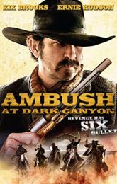 Ambush at Dark Canyon poster