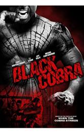 Black Cobra poster