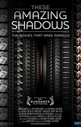 These Amazing Shadows poster