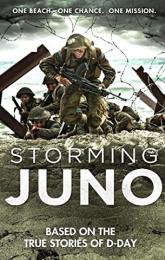 Storming Juno poster