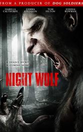 Night Wolf poster