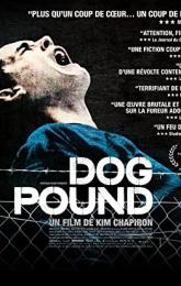 Dog Pound poster