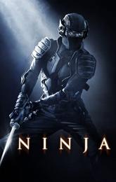 Ninja poster