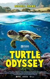 Turtle Odyssey poster