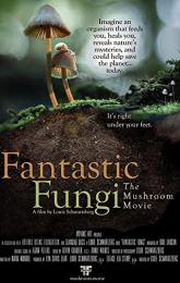 Fantastic Fungi poster