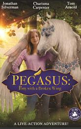 Pegasus: Pony with a Broken Wing poster