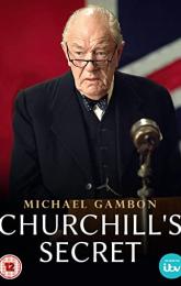 Churchill's Secret poster