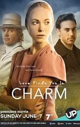 Love Finds You in Charm poster