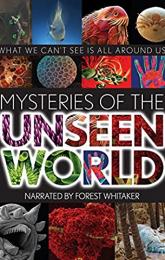 Mysteries of the Unseen World poster