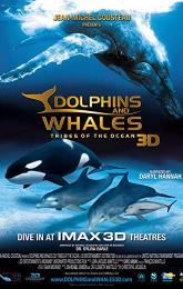 Dolphins and Whales 3D: Tribes of the Ocean poster
