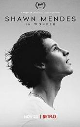 Shawn Mendes: In Wonder poster