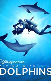 Diving with Dolphins poster