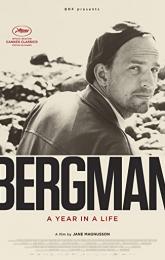 Bergman: A Year in a Life poster