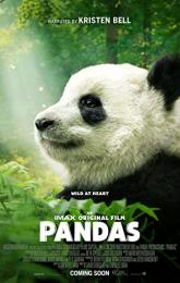 Pandas poster