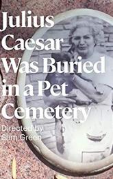 Julius Caesar Was Buried in a Pet Cemetery poster