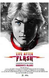 Life After Flash poster