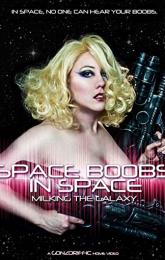 Space Boobs in Space poster