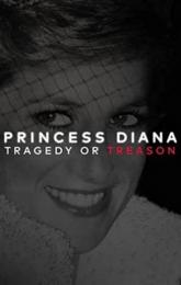 Princess Diana: Tragedy or Treason? poster