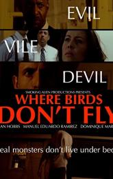 Where Birds Don't Fly poster