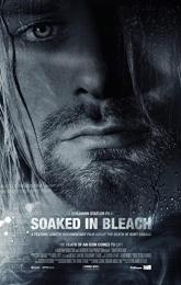 Soaked in Bleach poster