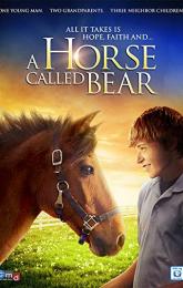A Horse Called Bear poster