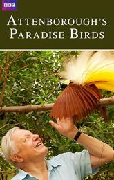 Attenborough's Paradise Birds poster