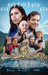 Indian Road Trip poster