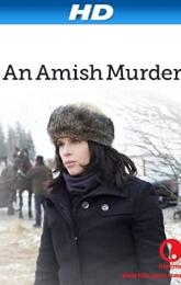 An Amish Murder poster