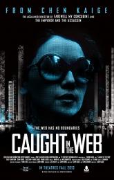 Caught in the Web poster