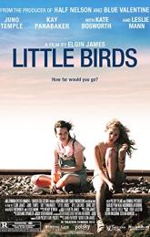 Little Birds poster
