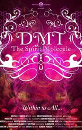 DMT: The Spirit Molecule poster