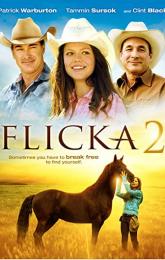 Flicka 2 poster